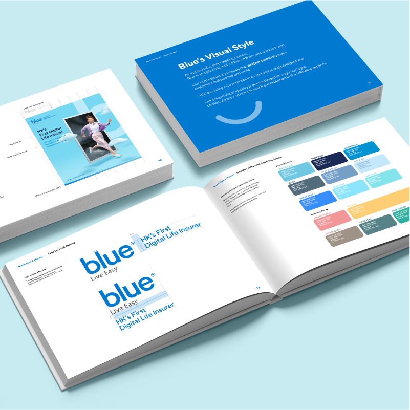 Blue Branding Guideline Development